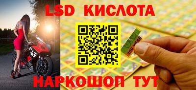 ALPHA PVP Малгобек